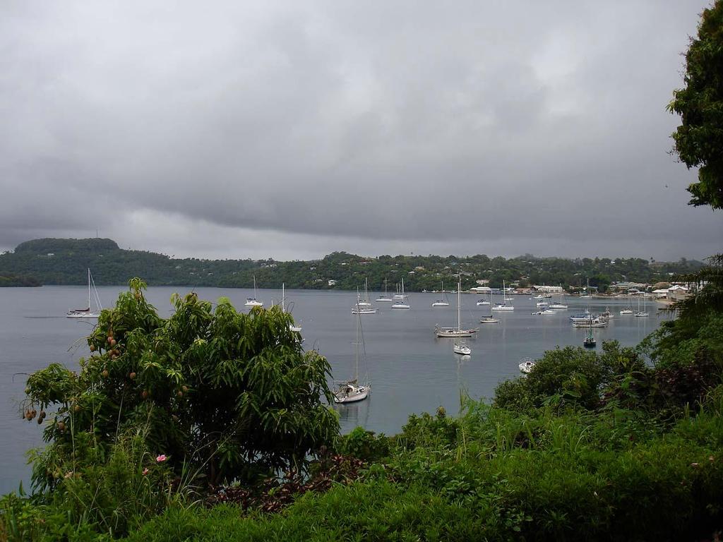 Neiafu Harbour © Larry Macdonald